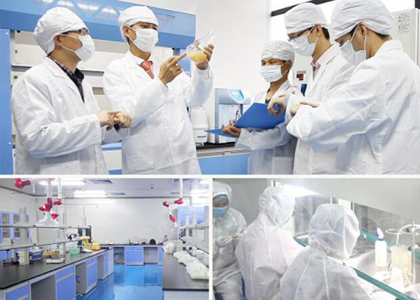 以及这些成分如何共同发挥功效