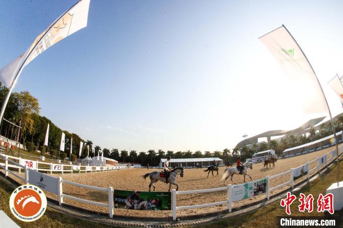 在广州某体育训练中心，2023年度中国马术场地障